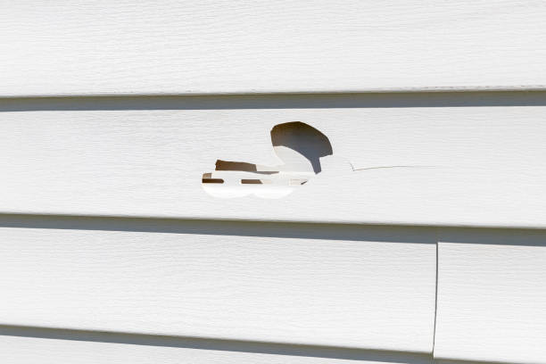 Reliable Coleytown, CT Junk Removal Solutions